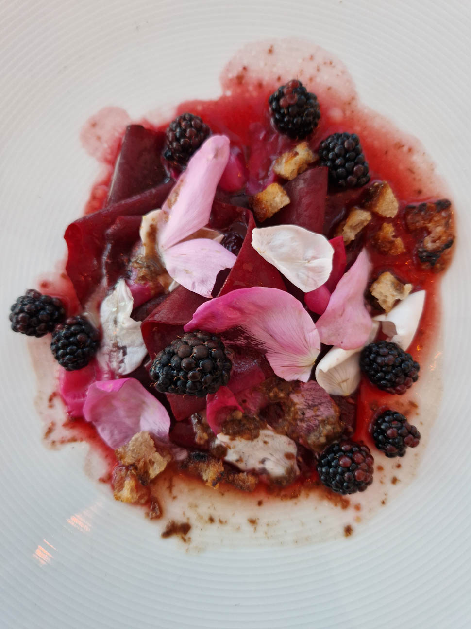 Fogo Island Inn Kaja Sajovic 3