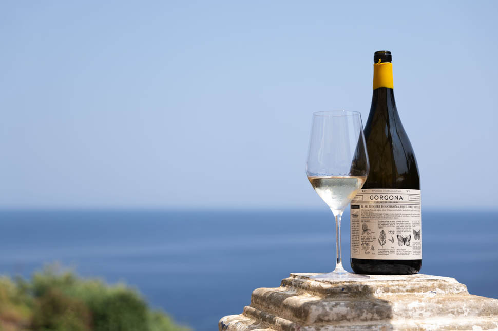 Gorgona 12062025 111