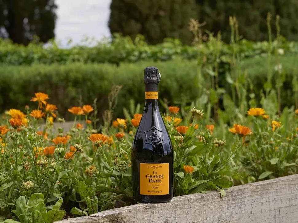 LA GRANDE DAME 2018 Ph Bruno Antinori 6 1024x768