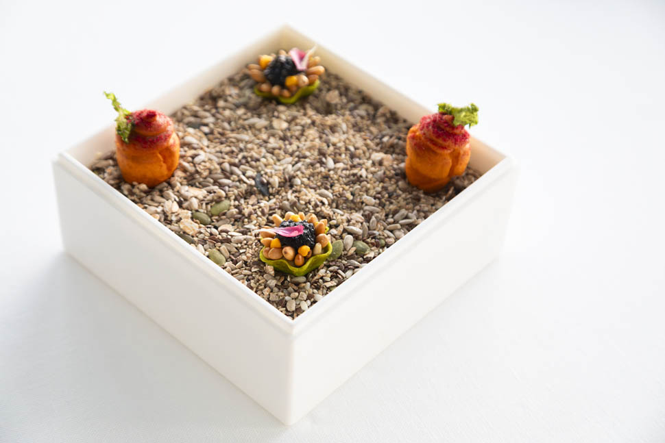 Oltremare Amuse Bouche 02A3914