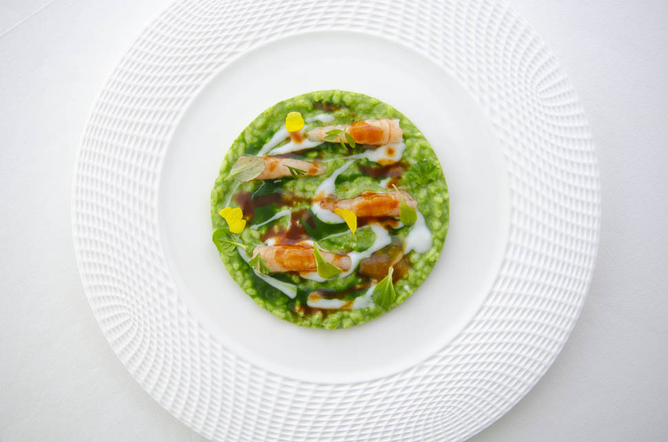 Oltremare Risotto gorgonzola e gamberi viola MEE1951