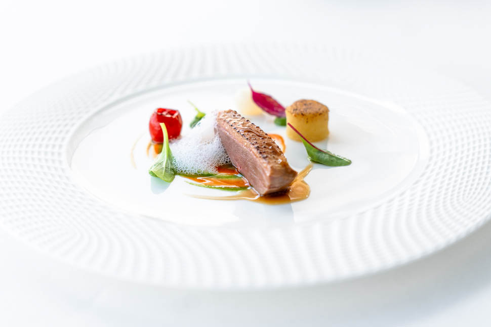 Oltremare Wellington di anatra MEE04728 2