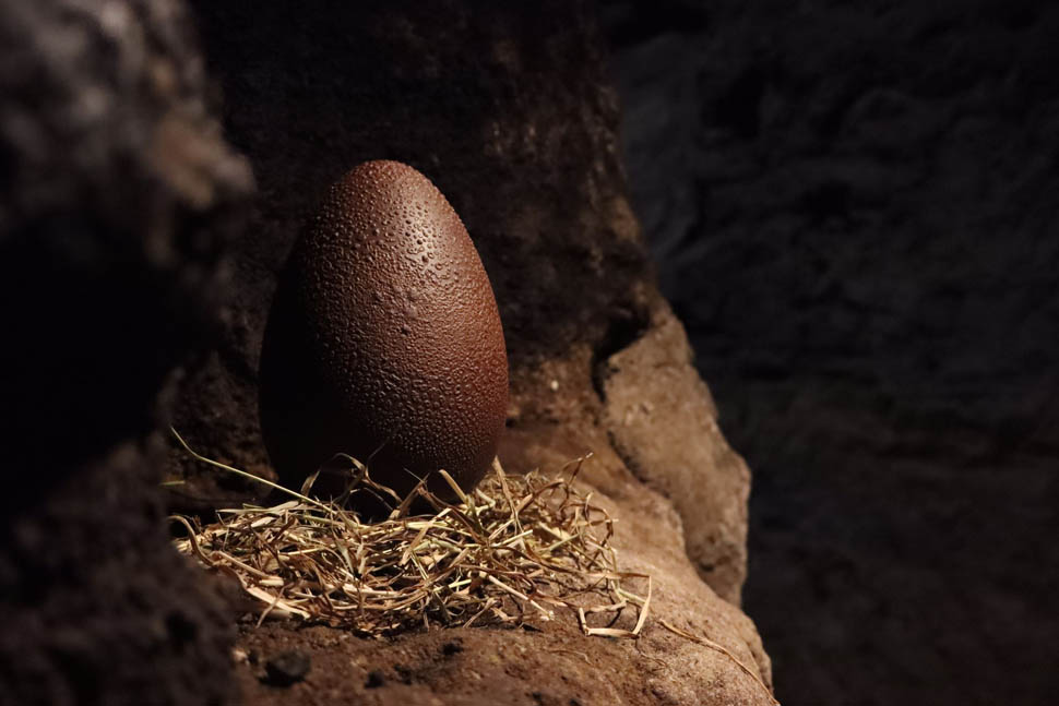 UOVO DI PASQUA 2025 4 2025 04 07 15 51 18