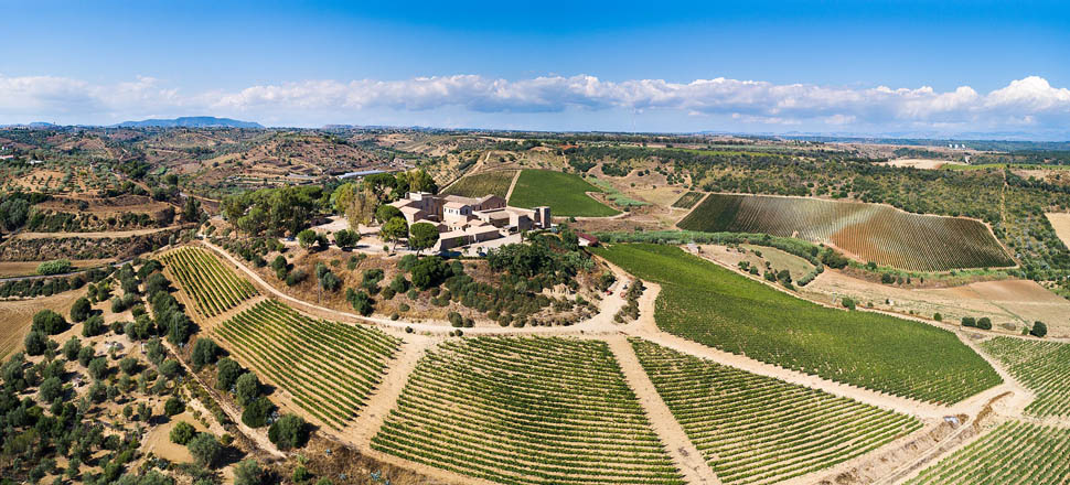 Wine Relais Feudi del Pisciotto Panoramica Credit Alfio Garozzo