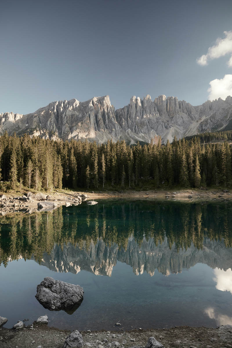 forestis nature 24 1