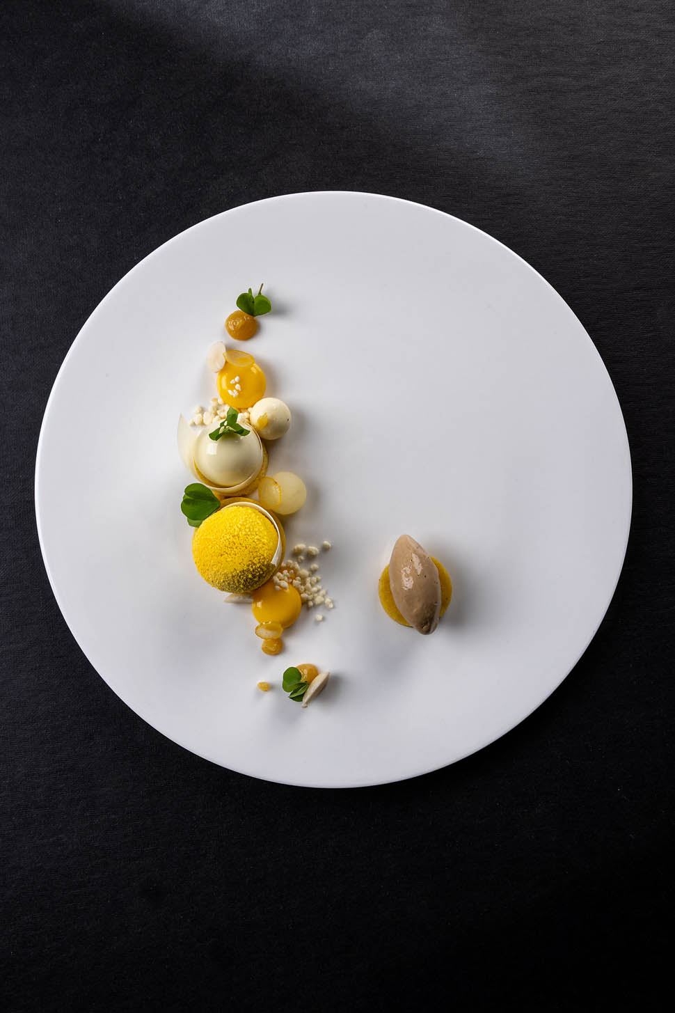 le due matote menu ph davide dutto 14