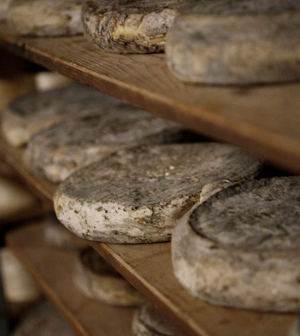 les freres marchand 2