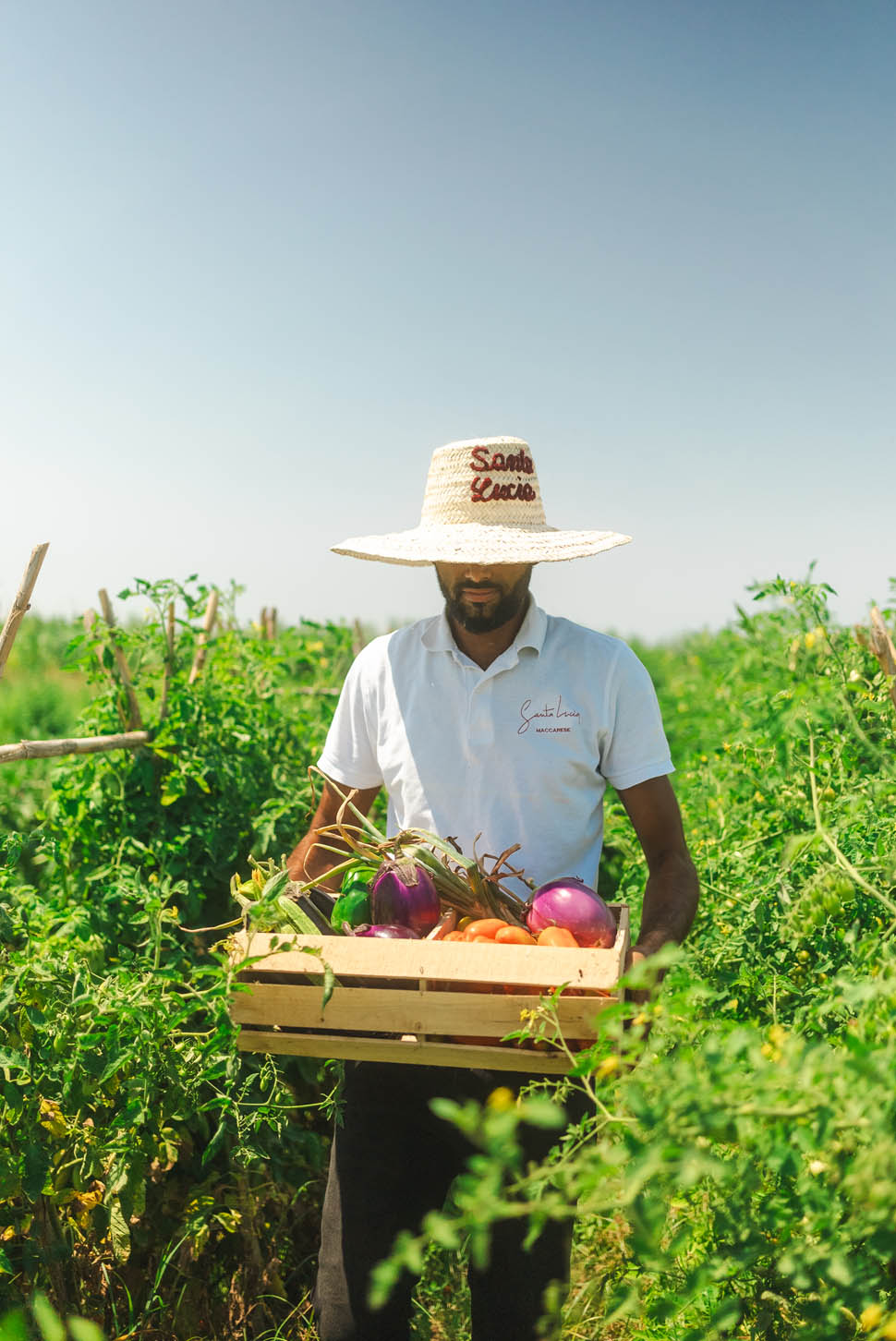 santa lucia maccarese 25