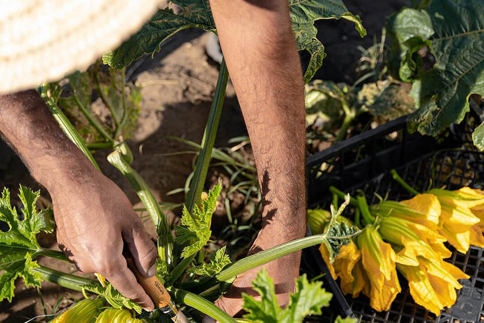 santa lucia maccarese 5 1