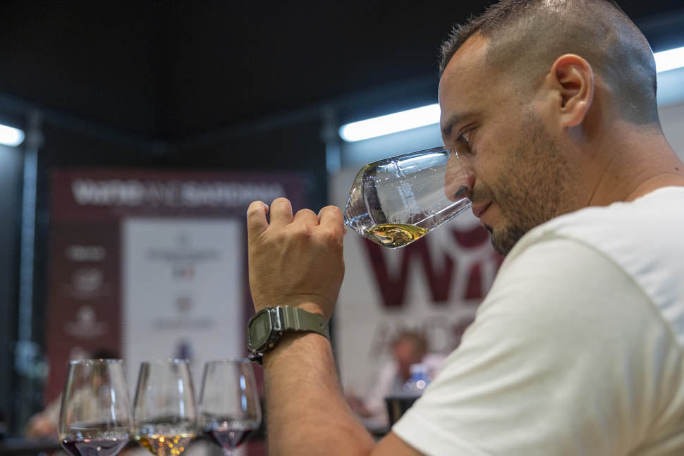 winesardinia 3