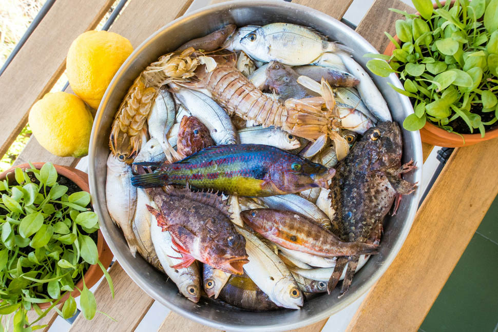 zuppa di pesce foto da Stock 3